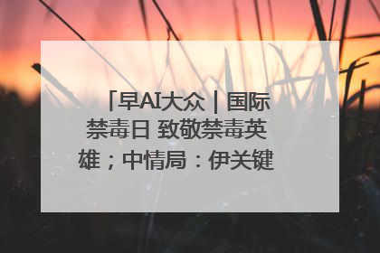 早AI大众｜国际禁毒日 致敬禁毒英雄；中情局：伊关键核设施被摧毁