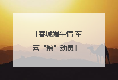 春城端午情 军营“粽”动员