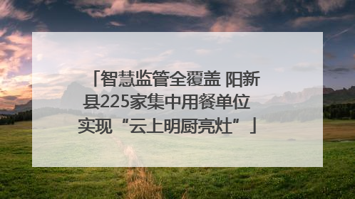 智慧监管全覆盖 阳新县225家集中用餐单位实现“云上明厨亮灶”