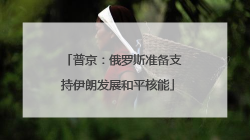 普京：俄罗斯准备支持伊朗发展和平核能