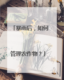 暴雨后，如何管理农作物？
