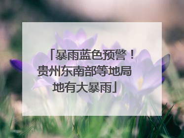 暴雨蓝色预警！贵州东南部等地局地有大暴雨