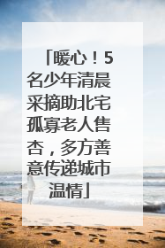 暖心！5名少年清晨采摘助北宅孤寡老人售杏，多方善意传递城市温情