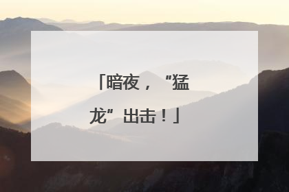 暗夜，“猛龙”出击！