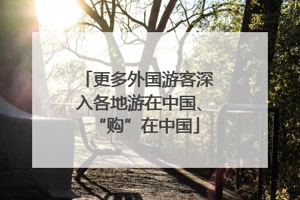 更多外国游客深入各地游在中国、“购”在中国
