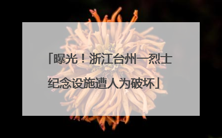 曝光！浙江台州一烈士纪念设施遭人为破坏