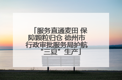 服务直通麦田 保障颗粒归仓 德州市行政审批服务局护航“三夏”生产