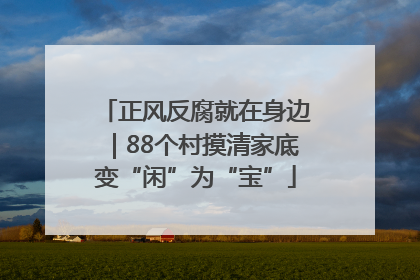 正风反腐就在身边｜88个村摸清家底变“闲”为“宝”