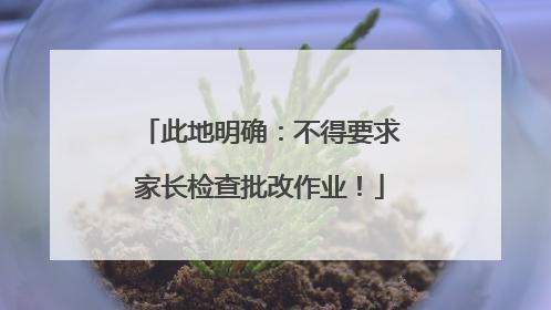 此地明确：不得要求家长检查批改作业！