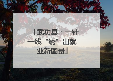 武功县：一针一线“绣”出就业新图景