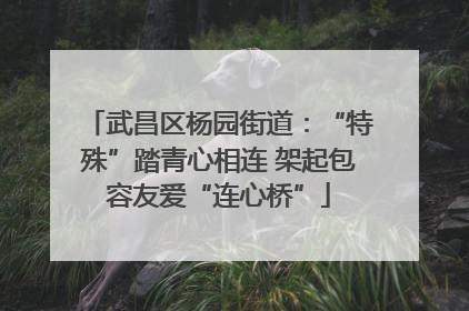 武昌区杨园街道：“特殊”踏青心相连 架起包容友爱“连心桥”