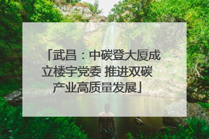武昌：中碳登大厦成立楼宇党委 推进双碳产业高质量发展