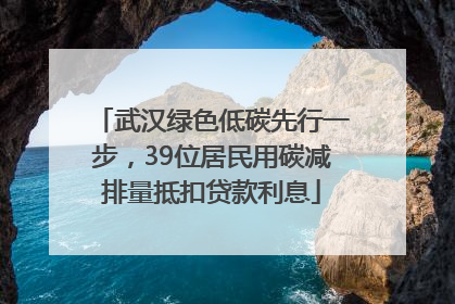 武汉绿色低碳先行一步，39位居民用碳减排量抵扣贷款利息