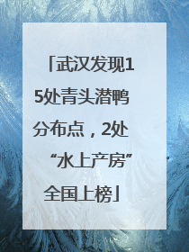 武汉发现15处青头潜鸭分布点，2处“水上产房”全国上榜