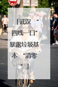 武汉 “四线一口”暴露垃圾基本 “清零”