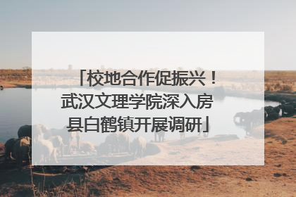 校地合作促振兴！武汉文理学院深入房县白鹤镇开展调研
