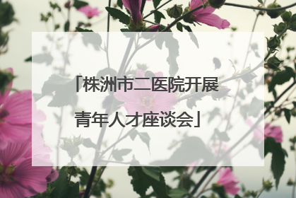 株洲市二医院开展青年人才座谈会