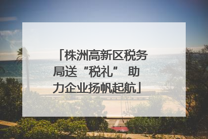 株洲高新区税务局送“税礼” 助力企业扬帆起航