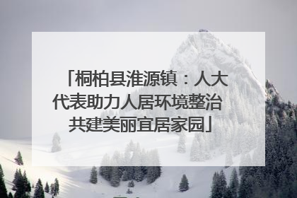 桐柏县淮源镇：人大代表助力人居环境整治 共建美丽宜居家园