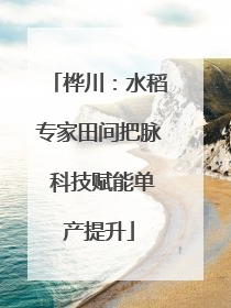 桦川：水稻专家田间把脉 科技赋能单产提升