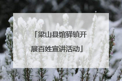 梁山县馆驿镇开展百姓宣讲活动