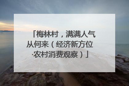梅林村，满满人气从何来（经济新方位·农村消费观察）