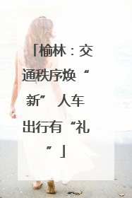 榆林：交通秩序焕“新” 人车出行有“礼”