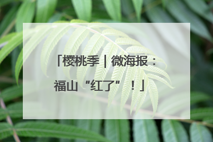 樱桃季｜微海报：福山“红了”！