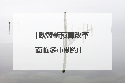 欧盟新预算改革面临多重制约