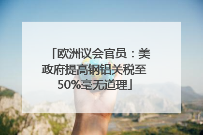 欧洲议会官员：美政府提高钢铝关税至50%毫无道理