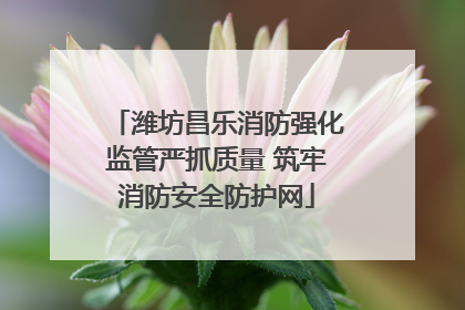 潍坊昌乐消防强化监管严抓质量 筑牢消防安全防护网