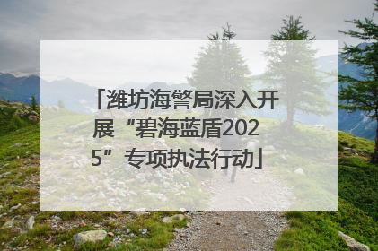 潍坊海警局深入开展“碧海蓝盾2025”专项执法行动