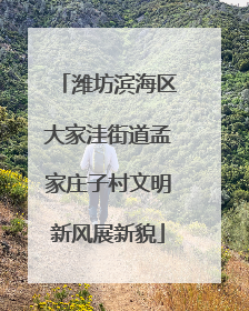 潍坊滨海区大家洼街道孟家庄子村文明新风展新貌