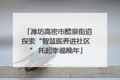 潍坊高密市醴泉街道探索“智慧医养进社区” 托起幸福晚年