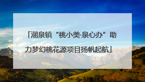 潮泉镇“桃小美·泉心办”助力梦幻桃花源项目扬帆起航