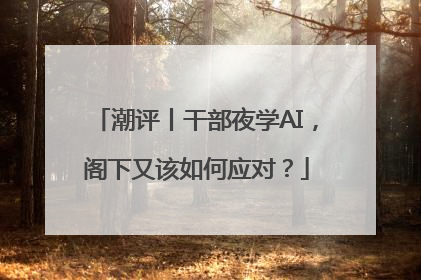 潮评丨干部夜学AI，阁下又该如何应对？