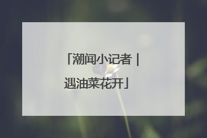 潮闻小记者｜遇油菜花开