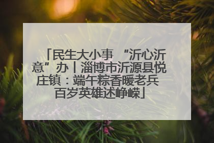 民生大小事 “沂心沂意”办丨淄博市沂源县悦庄镇：端午粽香暖老兵 百岁英雄述峥嵘
