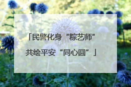 民警化身“粽艺师” 共绘平安“同心圆”