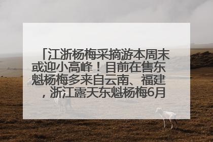 江浙杨梅采摘游本周末或迎小高峰！目前在售东魁杨梅多来自云南、福建，浙江露天东魁杨梅6月中旬大量上市