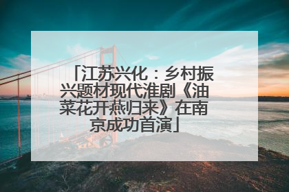 江苏兴化：乡村振兴题材现代淮剧《油菜花开燕归来》在南京成功首演
