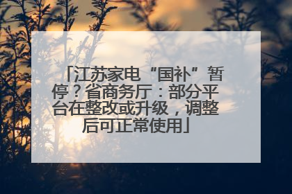 江苏家电“国补”暂停？省商务厅：部分平台在整改或升级，调整后可正常使用