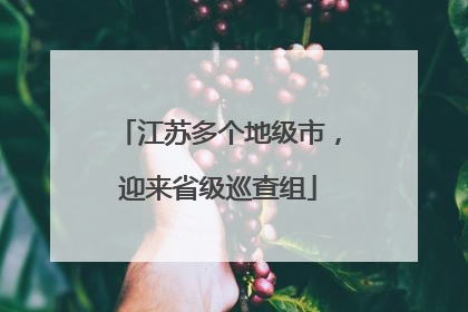 江苏多个地级市，迎来省级巡查组