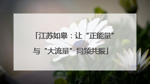 江苏如皋：让“正能量”与“大流量”同频共振