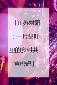 江苏射阳：一片桑叶里的乡村共富密码