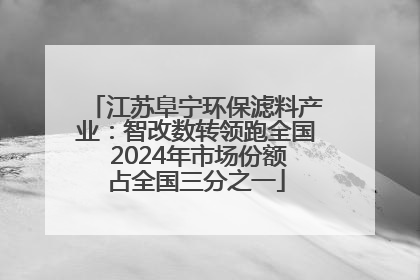 江苏阜宁环保滤料产业：智改数转领跑全国 2024年市场份额占全国三分之一