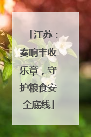 江苏：奏响丰收乐章，守护粮食安全底线