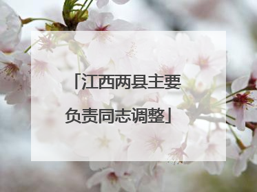 江西两县主要负责同志调整