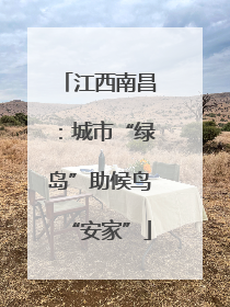 江西南昌：城市“绿岛”助候鸟“安家”