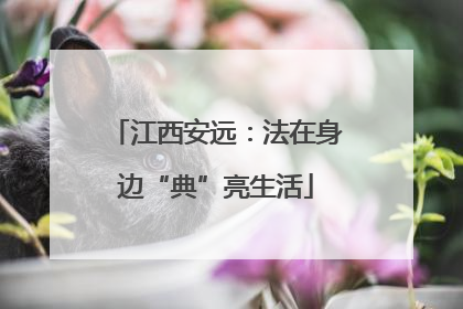 江西安远：法在身边“典”亮生活